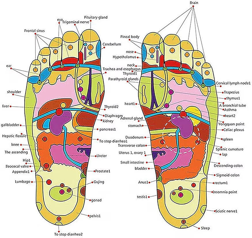 Acupressure and Magnetic Therapy Paduka Slippers